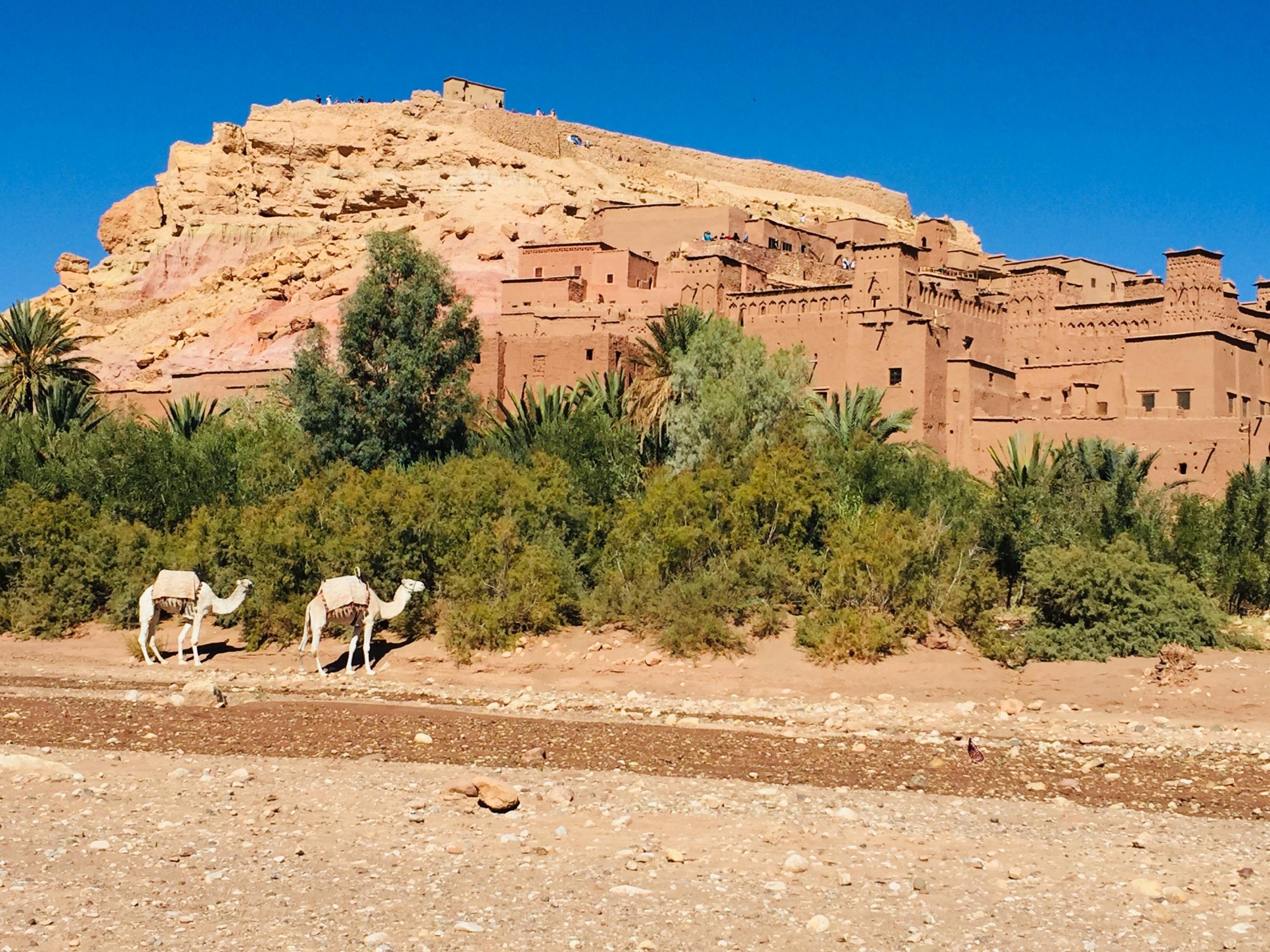 Merzouga Mirage Adventure - Marrakech → Ait Benhaddou → Ouarzazate → Vallée du Dadès - Marrakech → Ait Benhaddou → Ouarzazate → Dades Valley