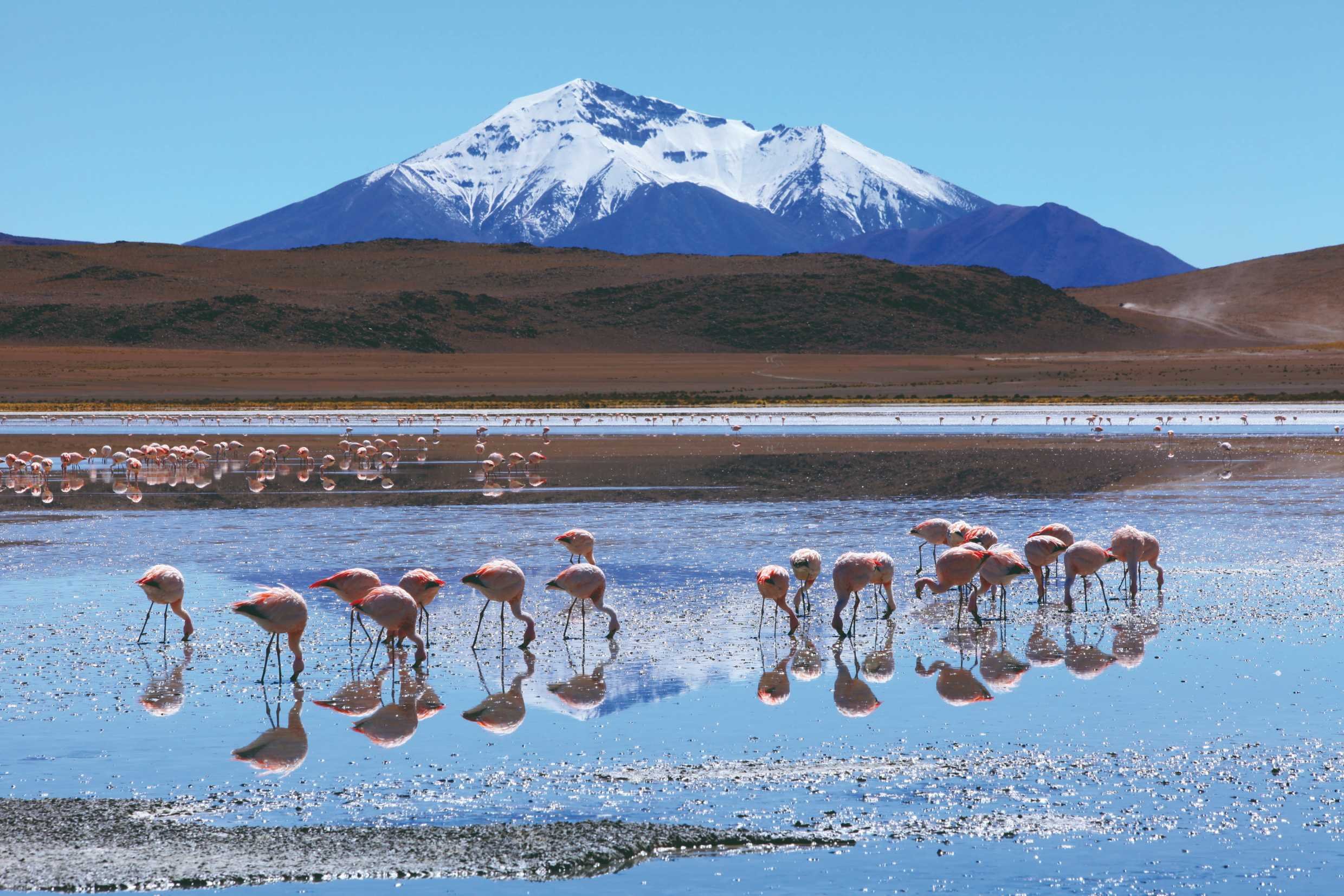 The great open spaces in Bolivia - Desert Hotel - 1001 Lagoons - San Pedro de Quemez - Hôtel du désert - 1001 lagons - San Pedro de Quemez