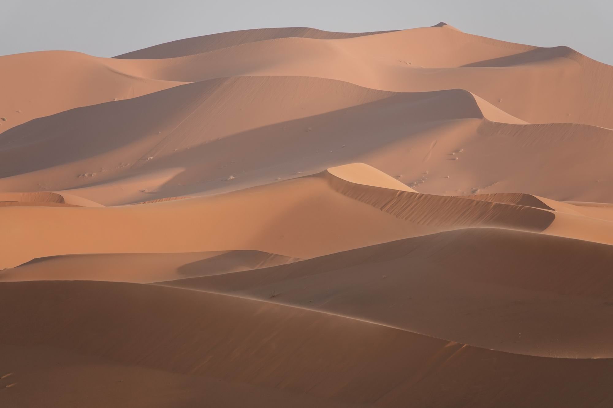 Authentic desert of the Chegaga erg - Erg Chegaga - Erg Chegaga