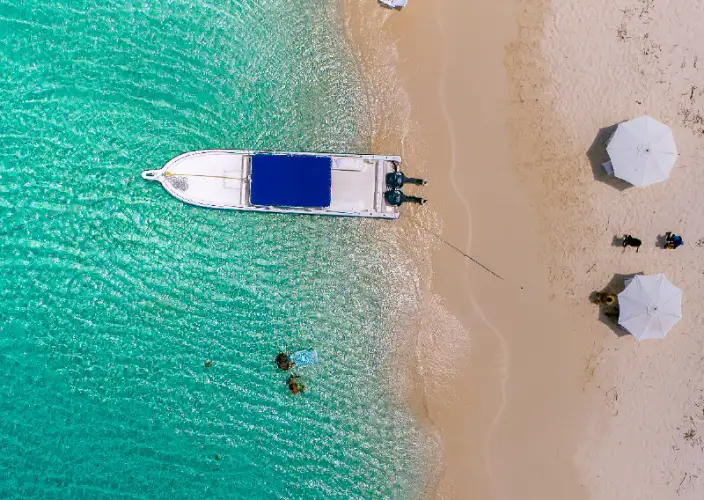 Alla scoperta del Sud Dominicano - Escursione privata a Bahía de las Águilas - Foto del giorno