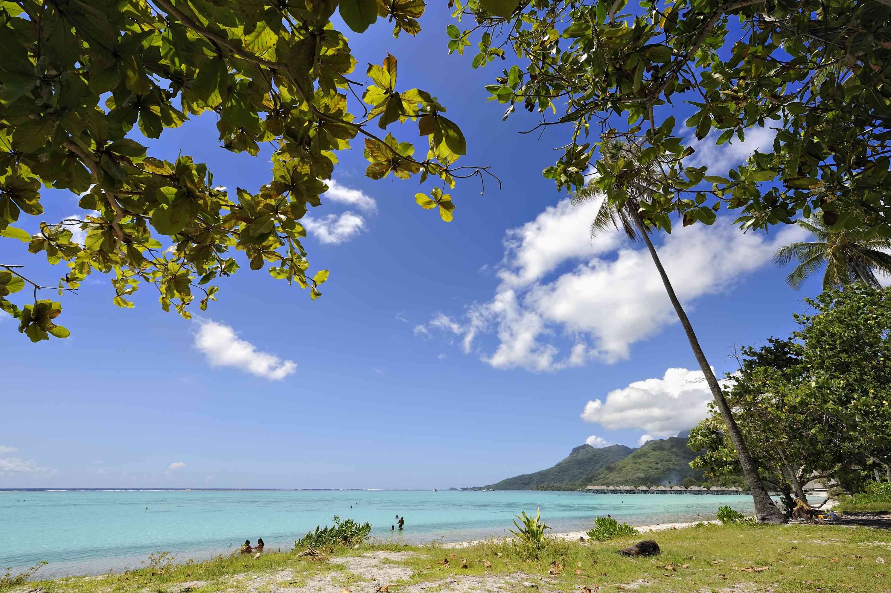 18 dagen op ontdekking naar de Polynesische cultuur - Moorea - Moorea