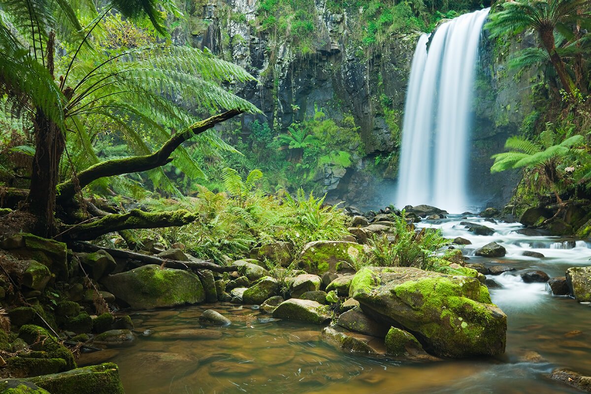 Noleggio Campervan - La Great Ocean Road - Parco Nazionale di Cape Otway - Photo du jour