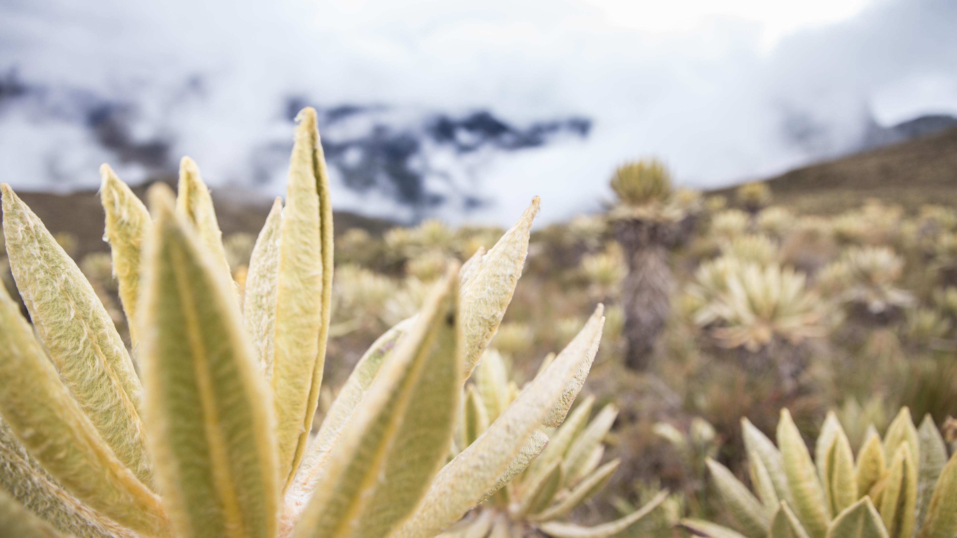 Self-drive tour - 21 days - Direction Villavieja - Direction Villavieja