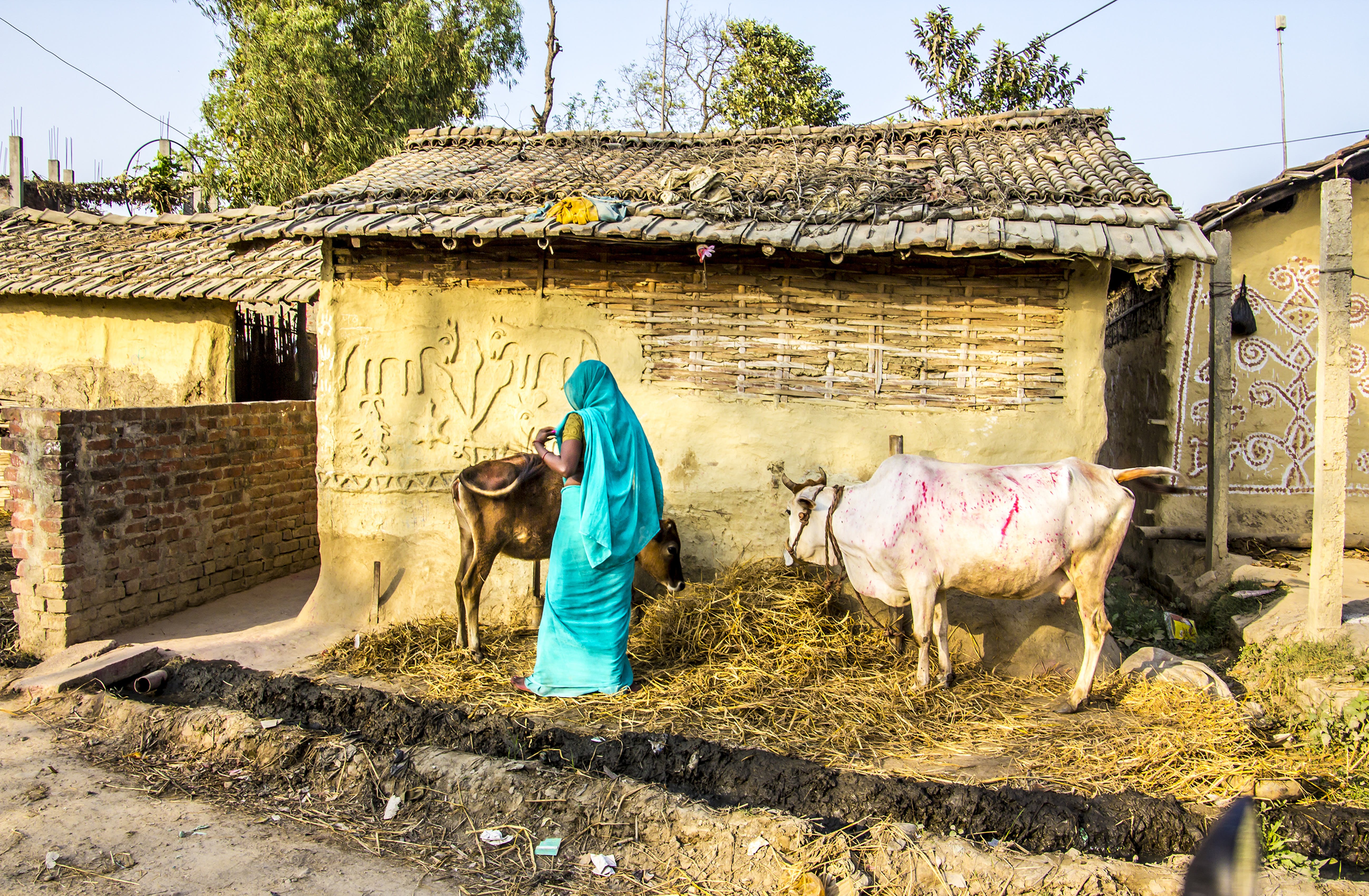 Trek to the Annapurna Base Camp - Kathmandu - Katmandou