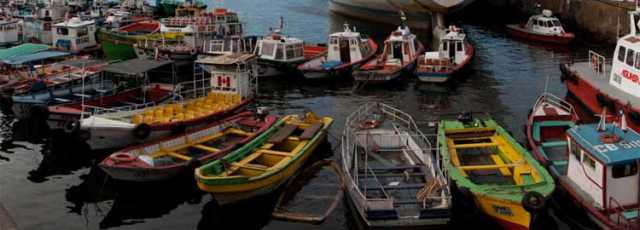 Natuurwandeling in Chileens en Argentijns Patagonië.