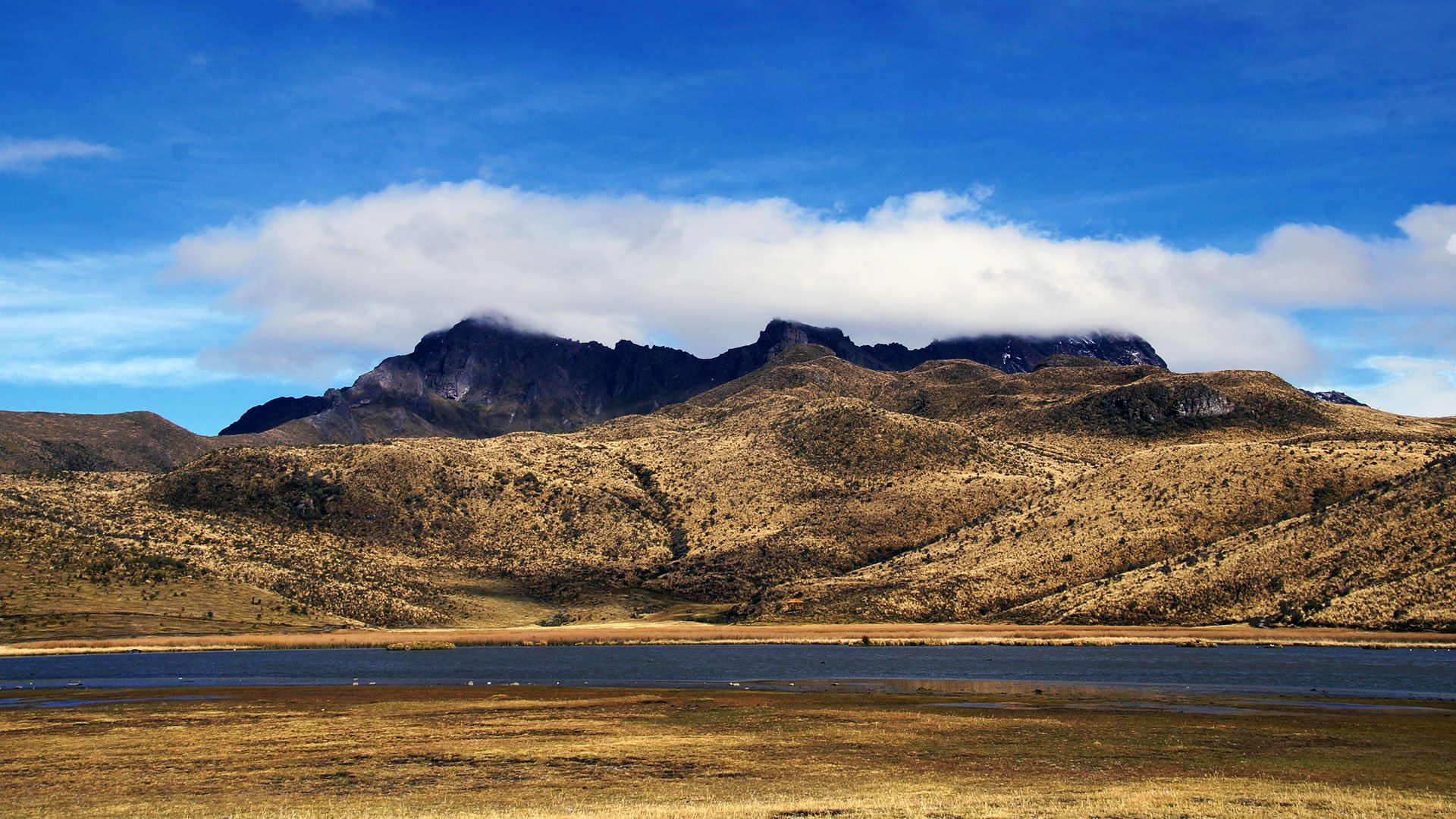 Ilinizas Cotopaxi Challenge - Parco nazionale Cotopaxi – Rumiñahui – Laguna Limpiopungo - Foto del giorno