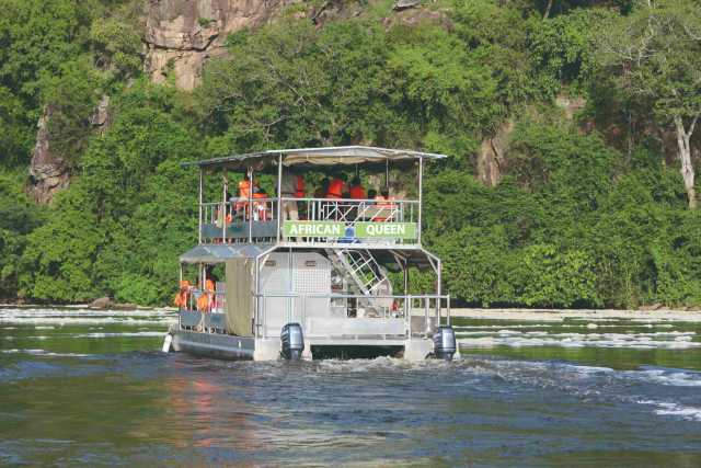 10 days of Ugandan safari for wildlife and gorillas.