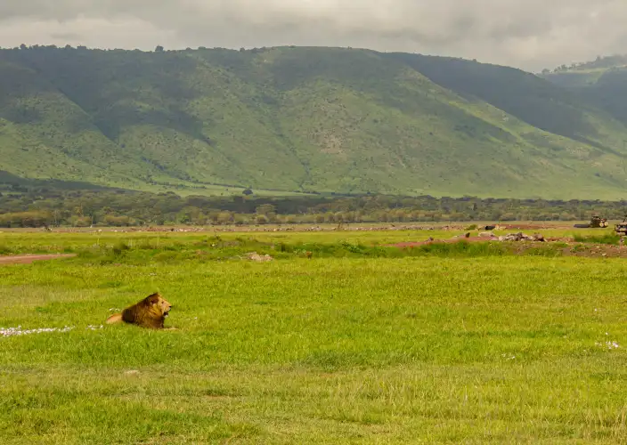 Strand & Bush: De Ultieme 5-Daagse Safari-ervaring - Ngorongoro Krater - Dagsafari - ngorongoro crater