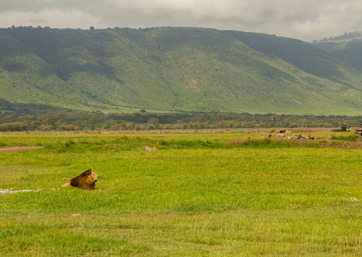 Playa y Sabana: La Experiencia Definitiva de Safari de 5 Días - Cráter de Ngorongoro - Safari de un día completo - ngorongoro crater