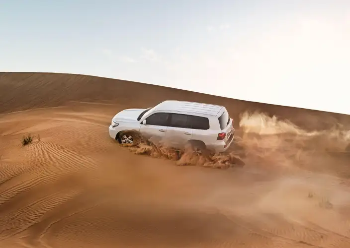 The wonders of Dubai - Free morning and desert safari with barbecue dinner. - Matinée libre et safari dans le désert avec diner au barbecue