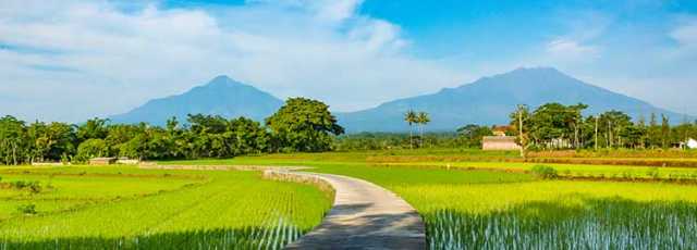 Between temples and volcanoes, from Java to Bali