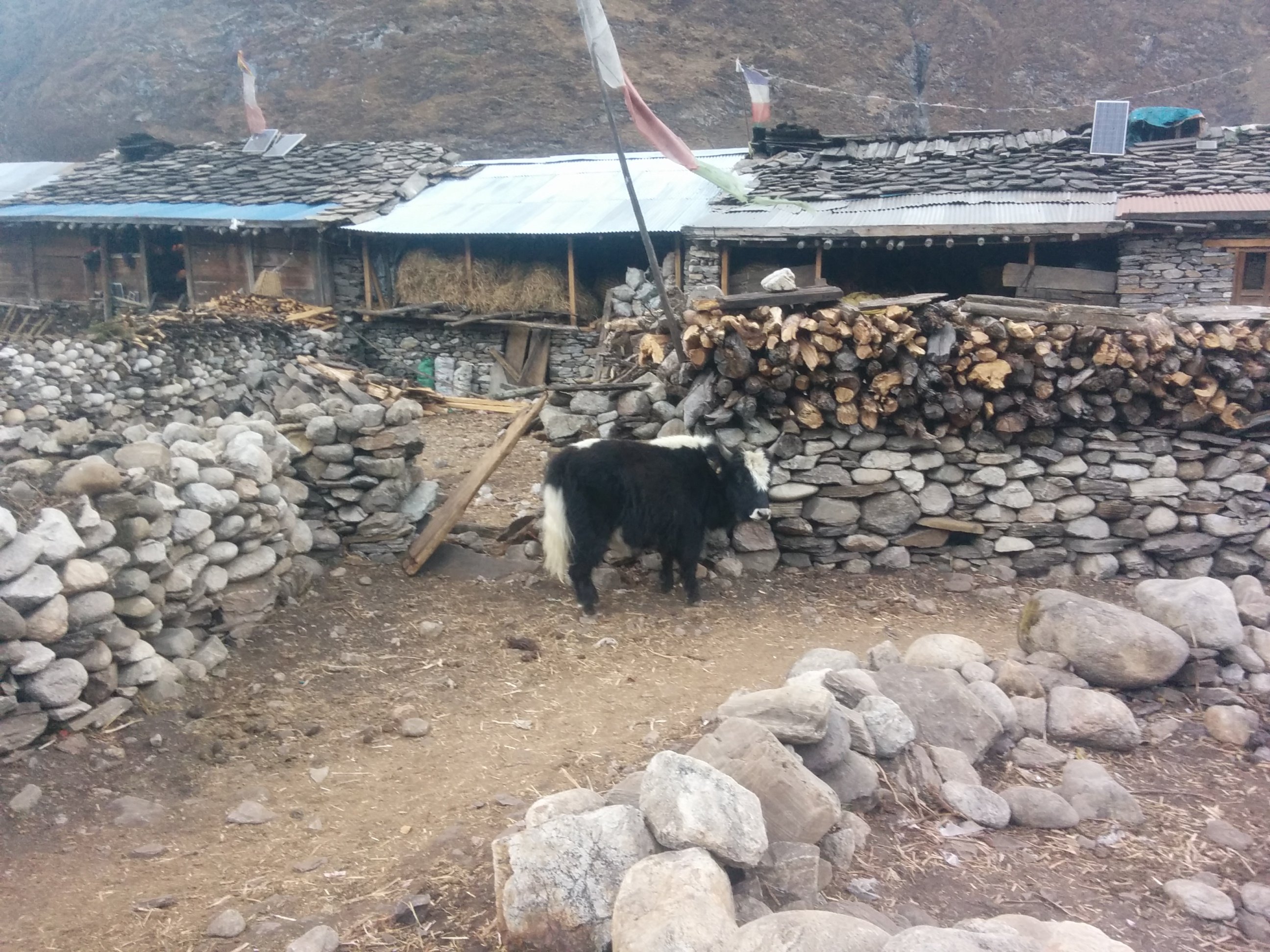 Nar Phu trek – L'Annapurna non édité - null - Photo du jour