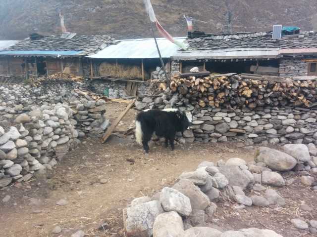 Nar Phu trek – L'Annapurna non édité