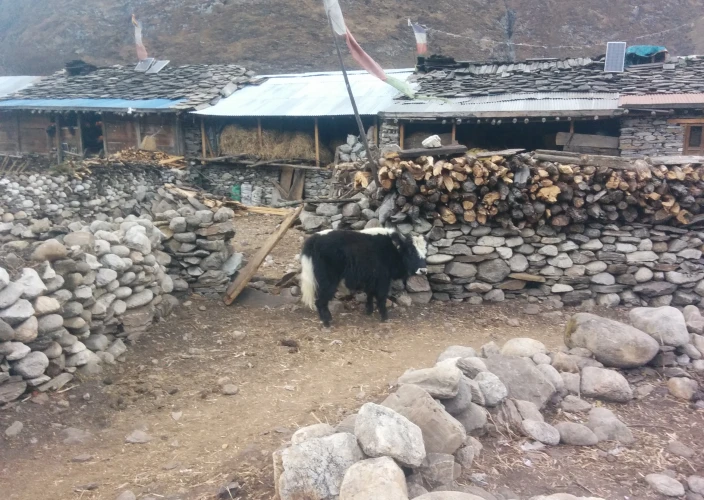 Nar Phu trek – El Annapurna sin editar - null - Foto del día