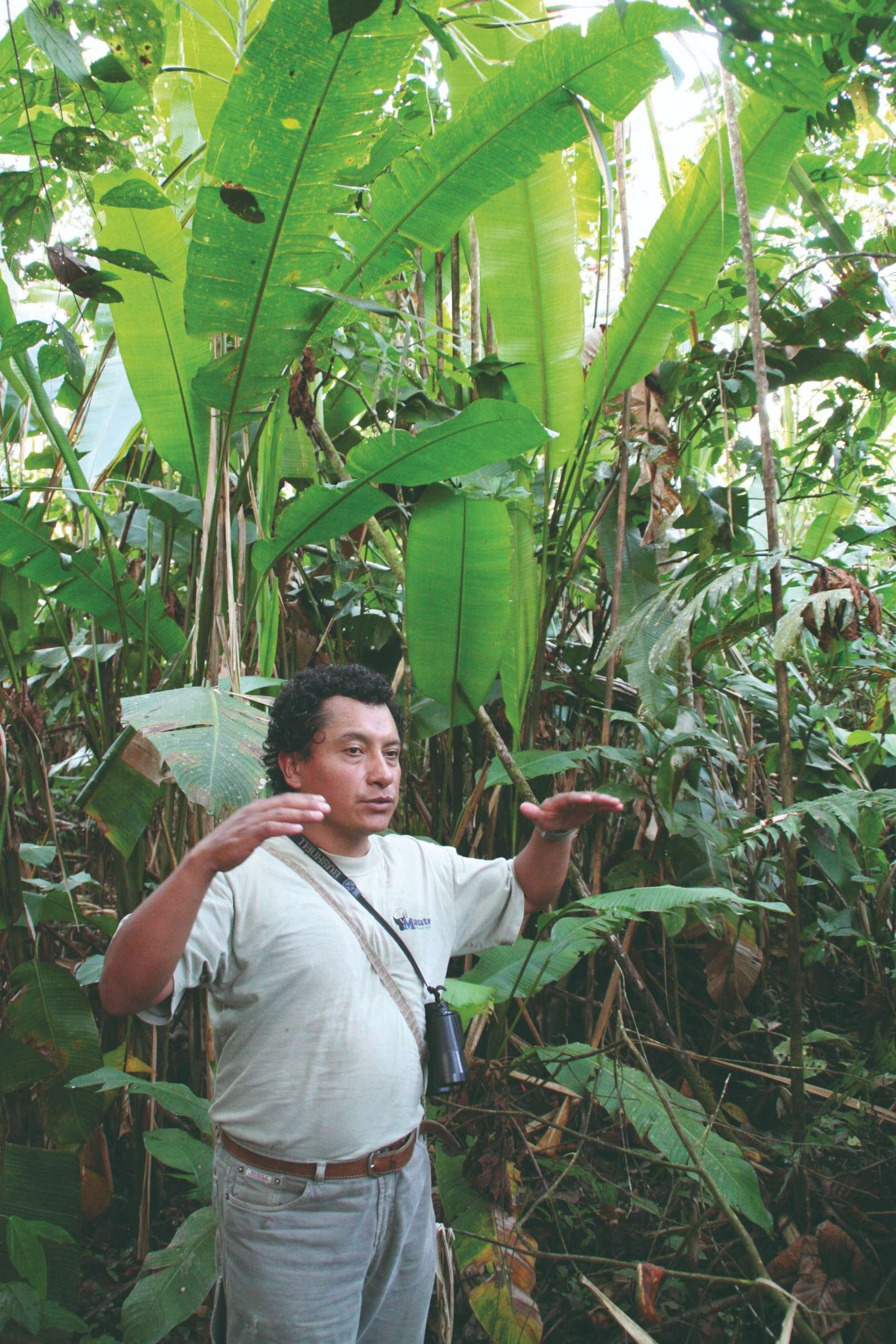 Paradis naturels - L'exubérance de la forêt tropicale - L'exubérance de la forêt tropicale
