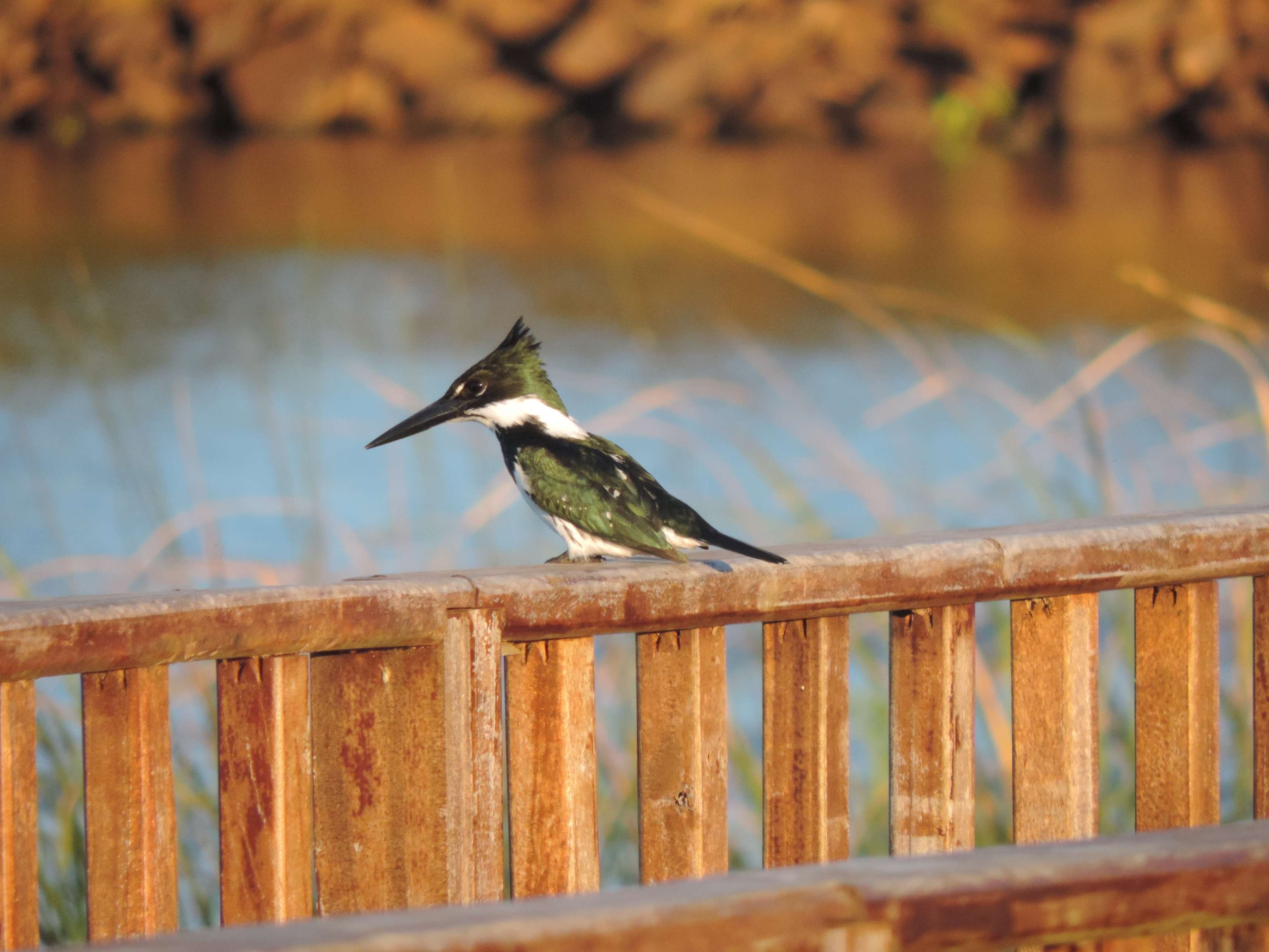 De onontdekte wonderen van het noordoosten van Argentinië - Buenos Aires - Puerto Iguazú - Buenos Aires - Puerto Iguazu