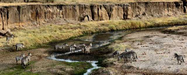 12 jours : Circuit au nord de la Tanzanie & Zanzibar