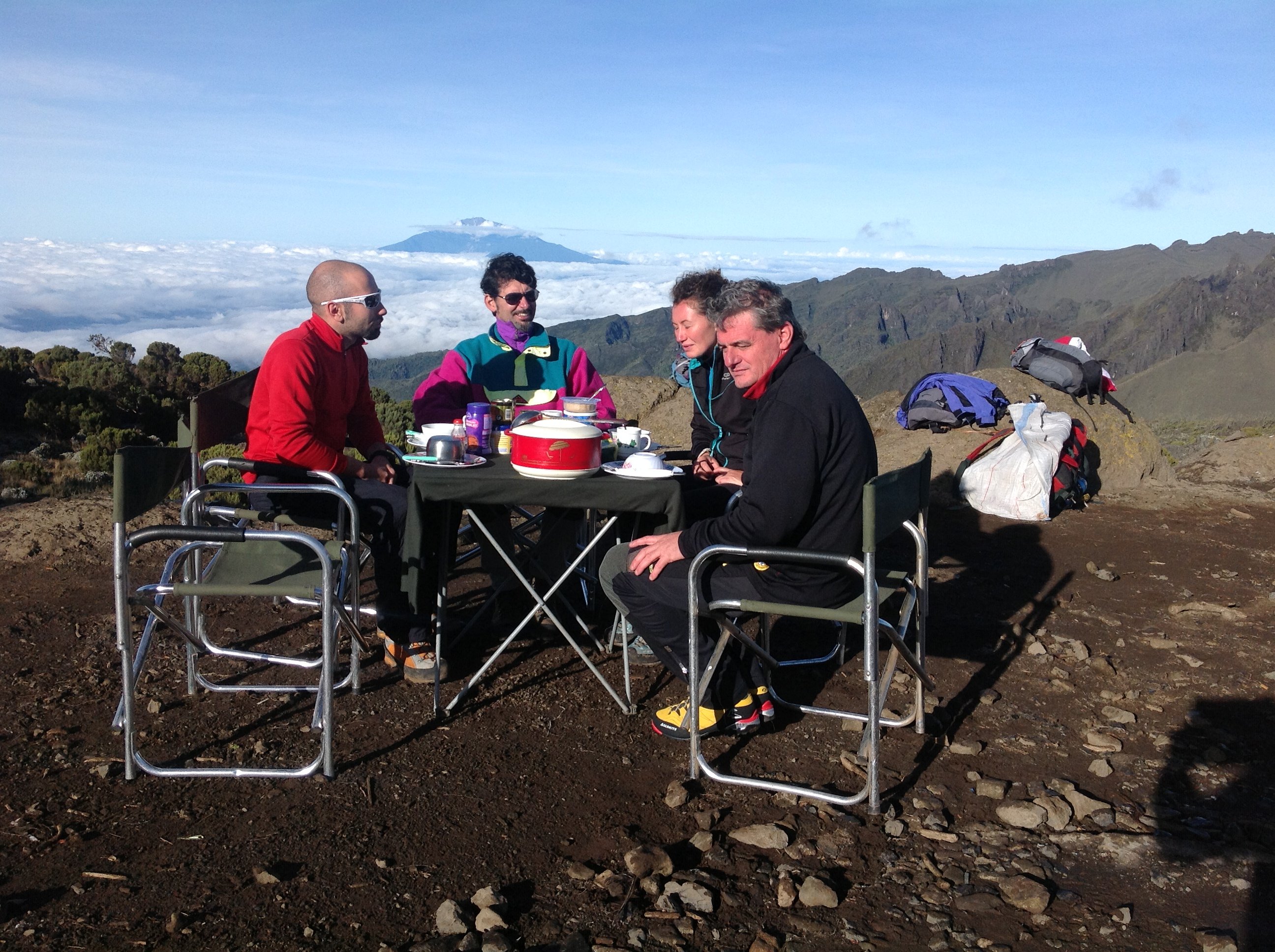 8 Days Mount Kilimanjaro Climbing Lemosho Route - Big Tree Camp (2,780m) – Shira Camp 1 (3,500m) - Photo of the day