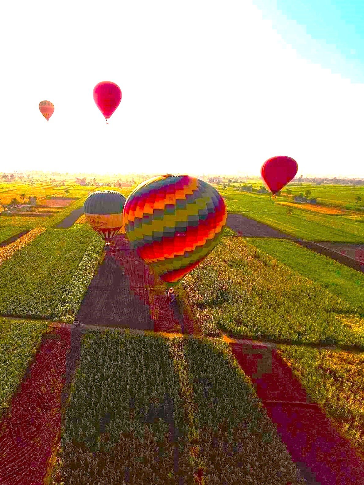 En el corazón de los esplendores de Egipto - Luxor – Edfu : continuación del crucero (incluyendo un segmento de circuito terrestre) - Foto del día