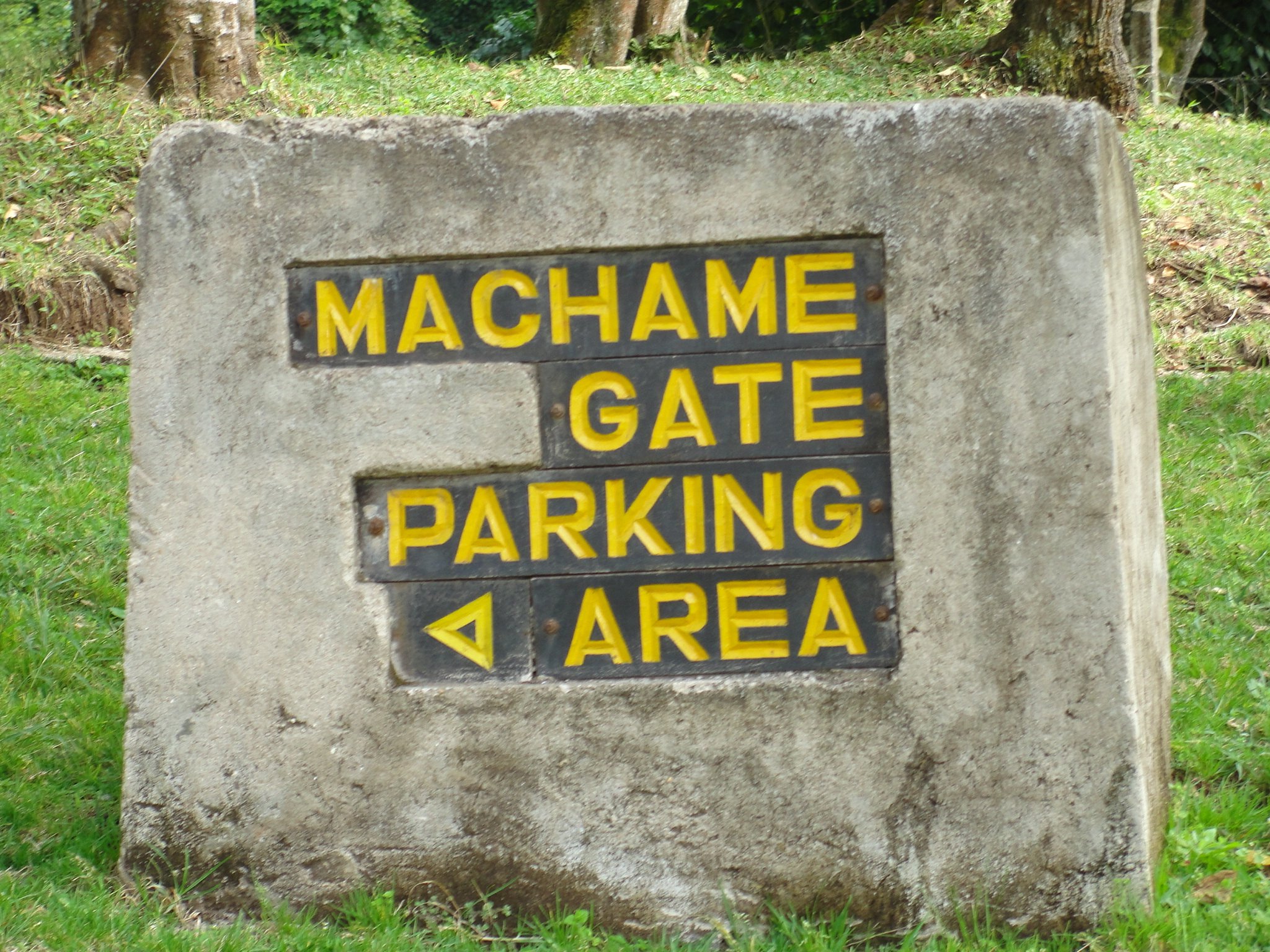 7 Days Mount Kilimanjaro Climbing Machame Route - Kilimanjaro International Airport – Arusha - Photo of the day