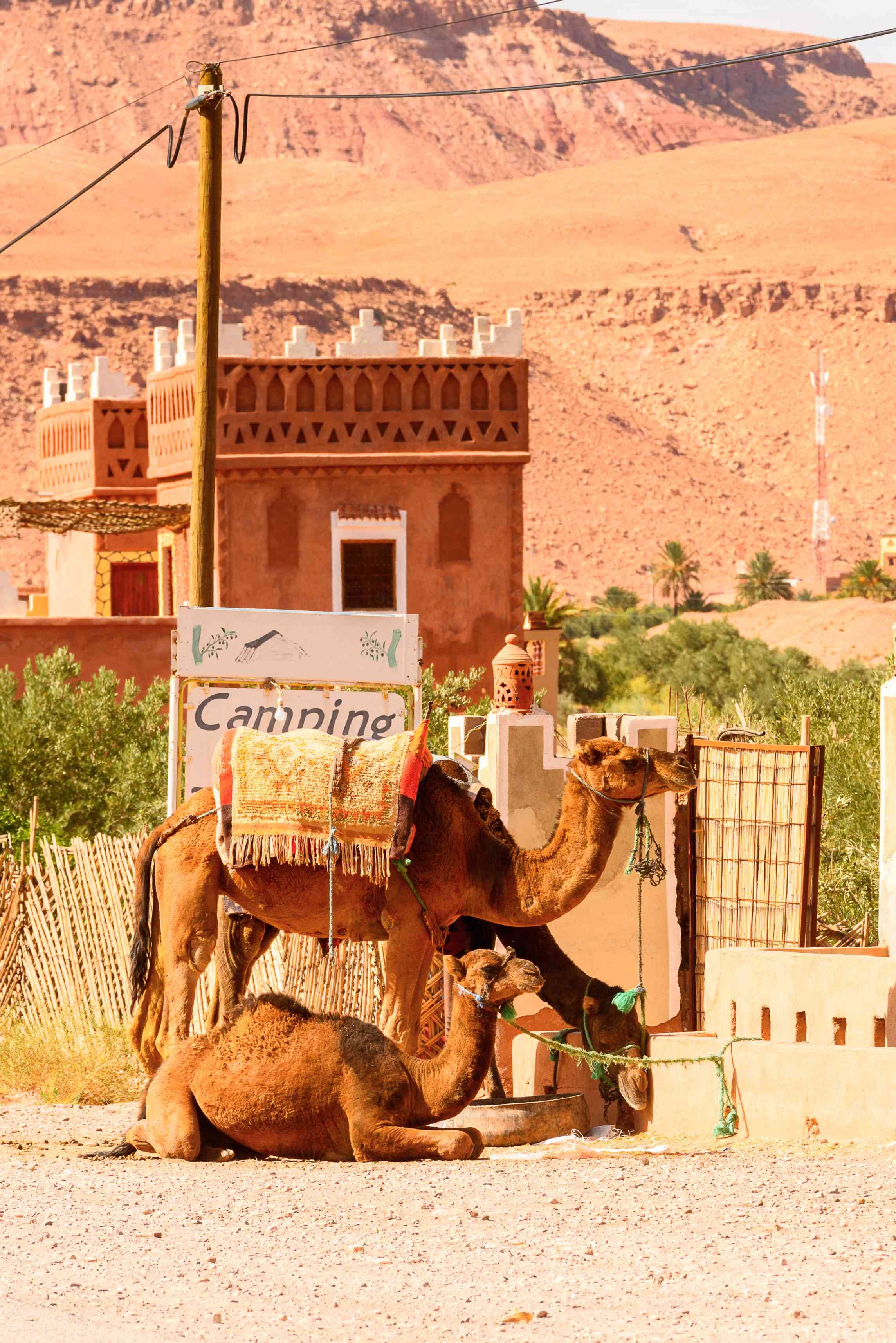 Het goud van de vallei - Marrakech — Col de Tichka — Ouarzazate — Vallei van de Rozen. - Marrakech --- col de Tichka ----Ouarzazate ---Vallée des roses.