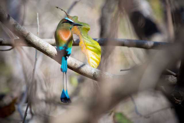 Costa Rica confidentieel