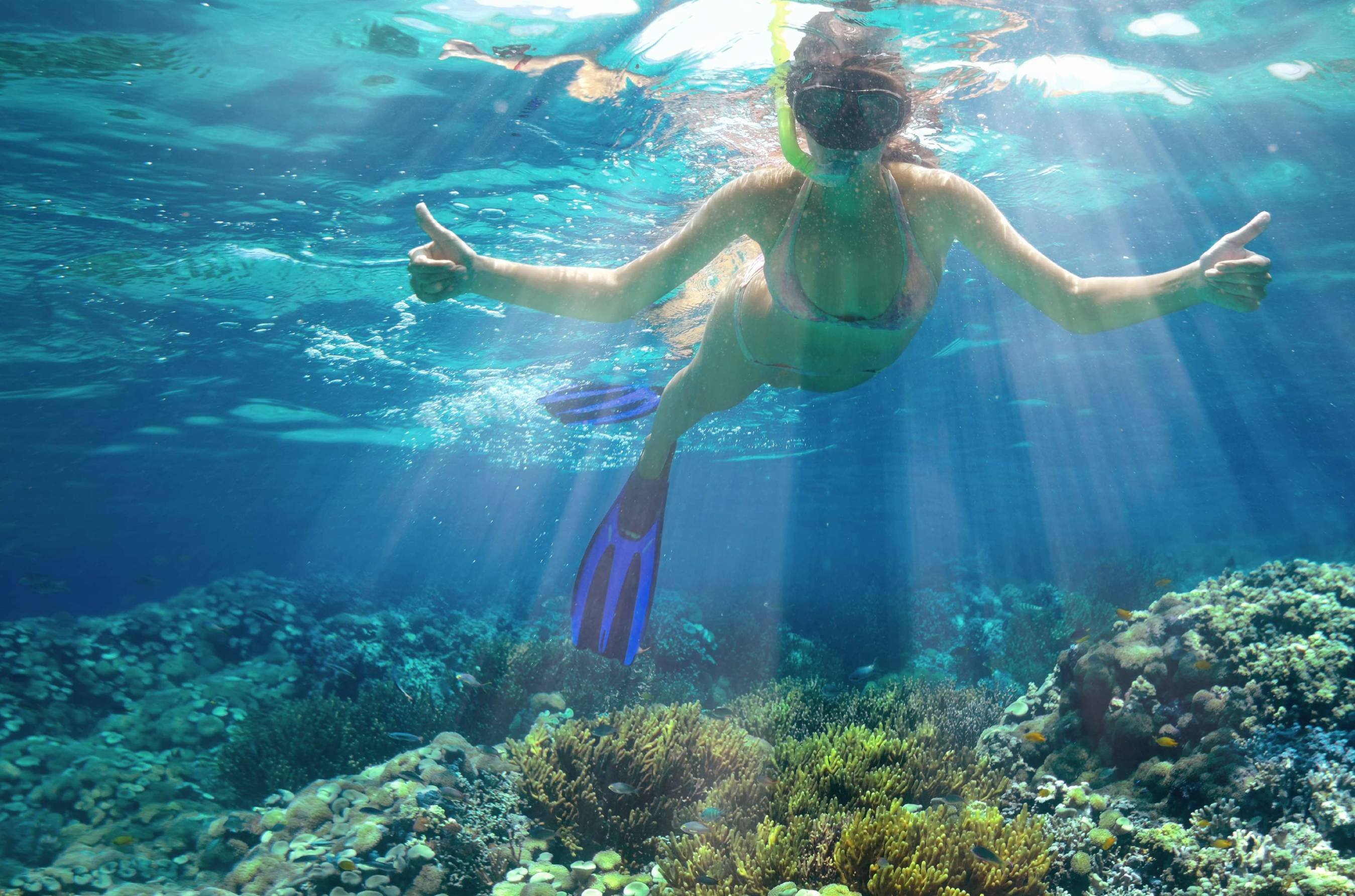 8 jours de visite des îles Galápagos (San Cristóbal - Santa Cruz - Isabela) - Snorkeling à Kicker Rock - Snorkeling à Kicker Rock
