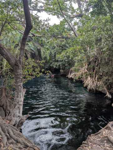 Safari de 14 jours en Tanzanie, culture et escapade à Zanzibar