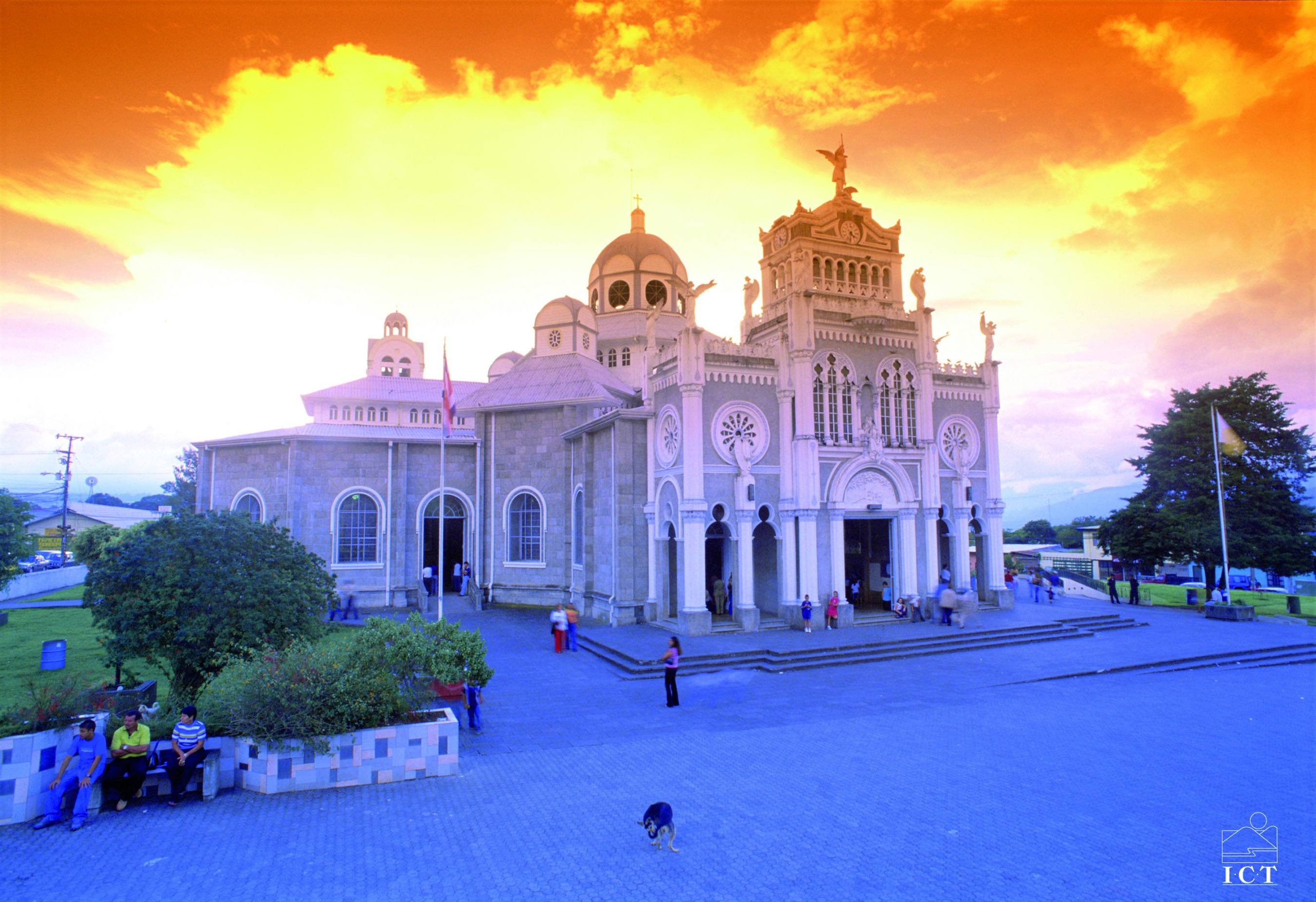 Gran Tour en el país del oro verde - Bajos del Toro - Caño Negro (2h30) - Bajos del Toro - Cano Negro (2h30)
