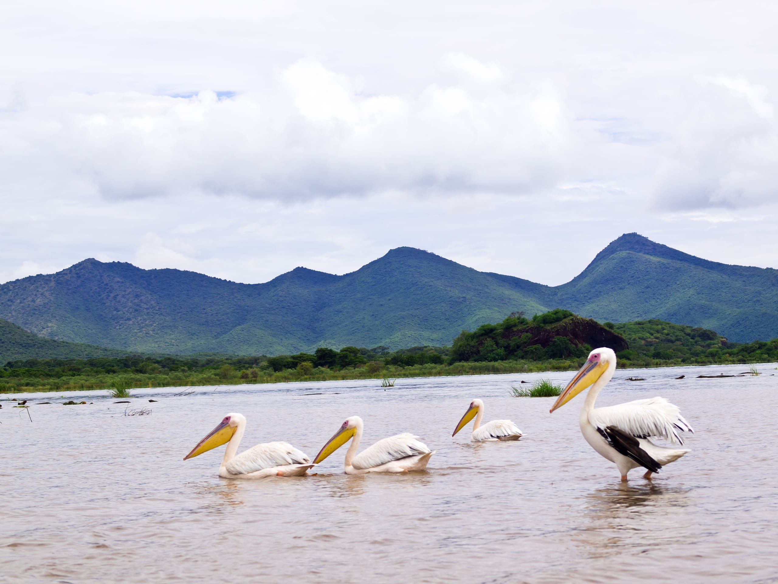 Gecombineerde rondreizen van 10 nachten - 11 dagen - VLUCHT VAN ARBA MINCH NAAR ADDIS-ABEBA - VOL DE ARBA MINCH A ADDIS ABABA
