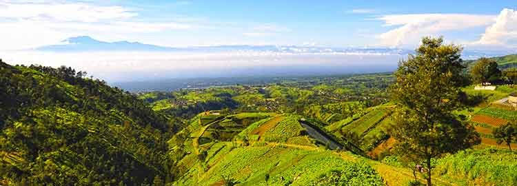 Entre temples et volcans, de Java à Bali - Excursion dans le village de Tawangmangu - Excursion dans le village de Tawangmangu