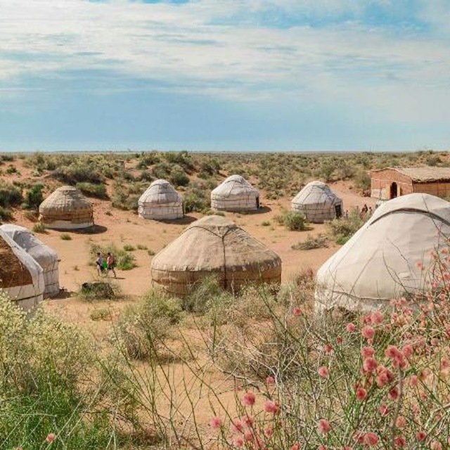 Viagem ao Uzbequistão, o legado de Tamerlão - Boukhara → Nurata → Yangi-Gazgan (285 km) – Café da manhã e jantar incluídos - Foto do dia