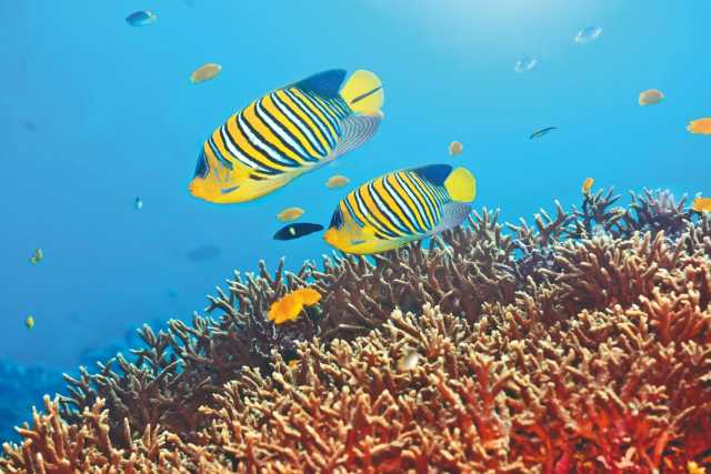 Coco Palm Dhuni Kolhu 4