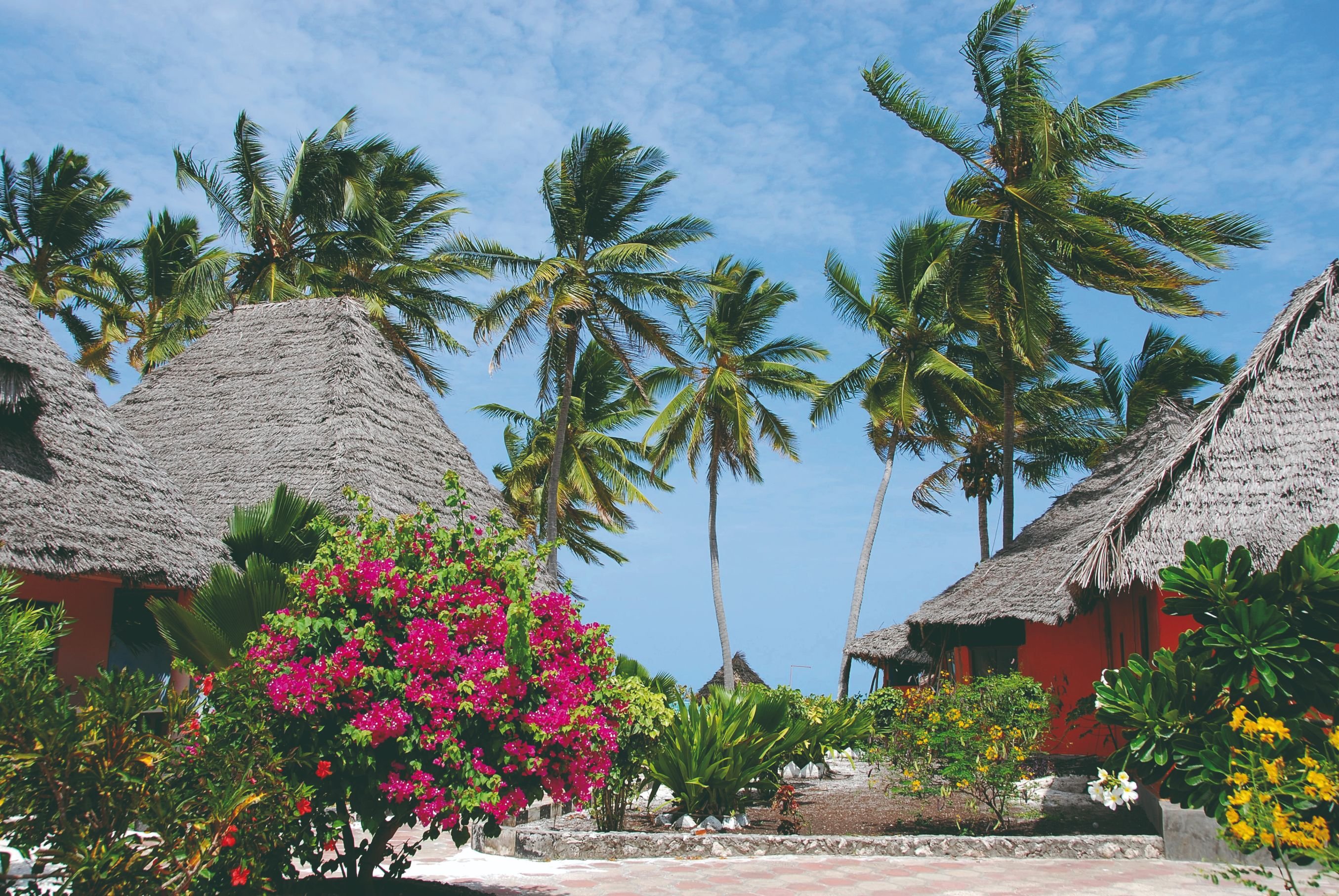 Les incontournables de la Tanzanie - Plage de Zanzibar - Plage de Zanzibar