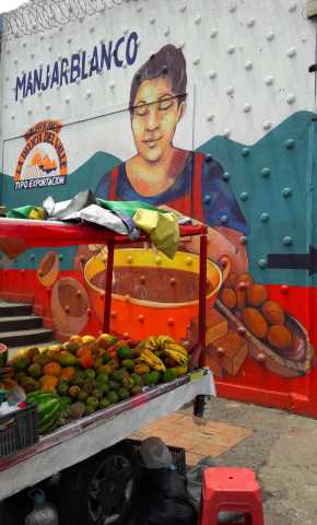 De l'Amazonie au Pacifique