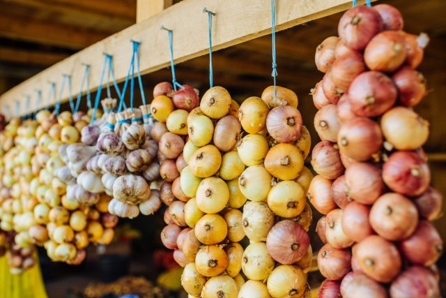 11 Dagen door de Baltische Landen