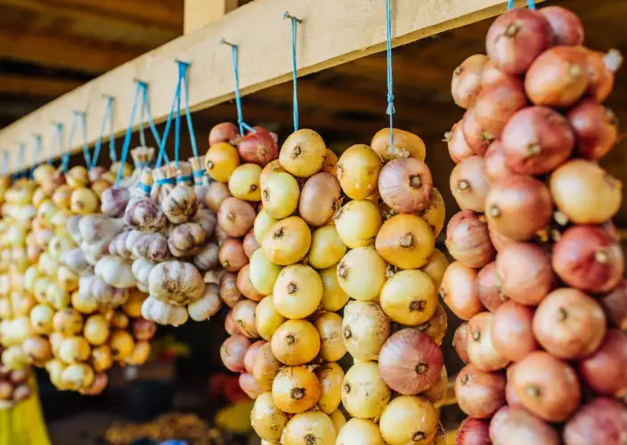 11 Tage durch die baltischen Länder - Ufer des Peipussees, Altgläubigen-Dorf; Reise nach Tallinn - Tagesfoto