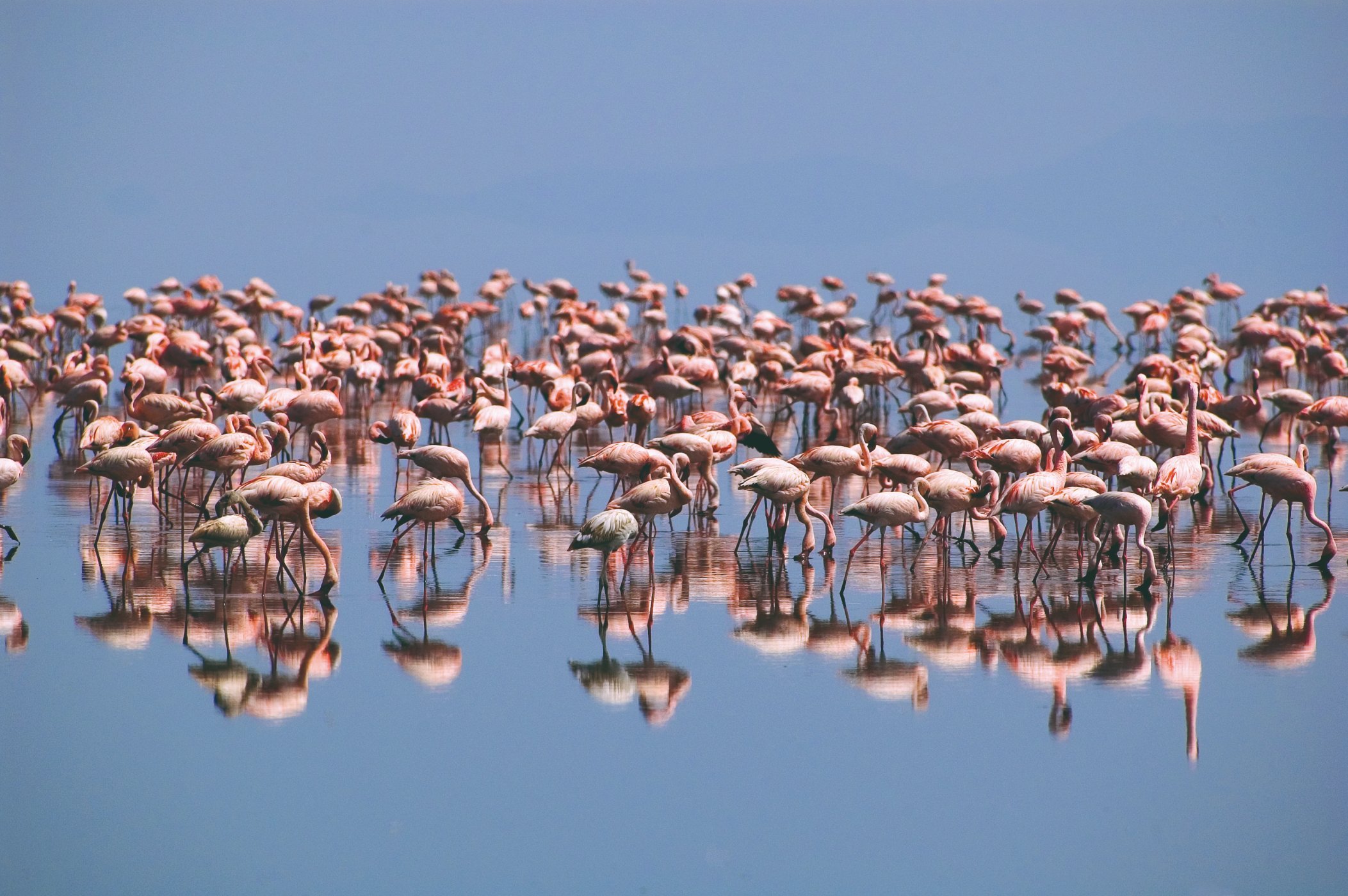 Tanzania auténtica - Lago Natron - Lac Natron