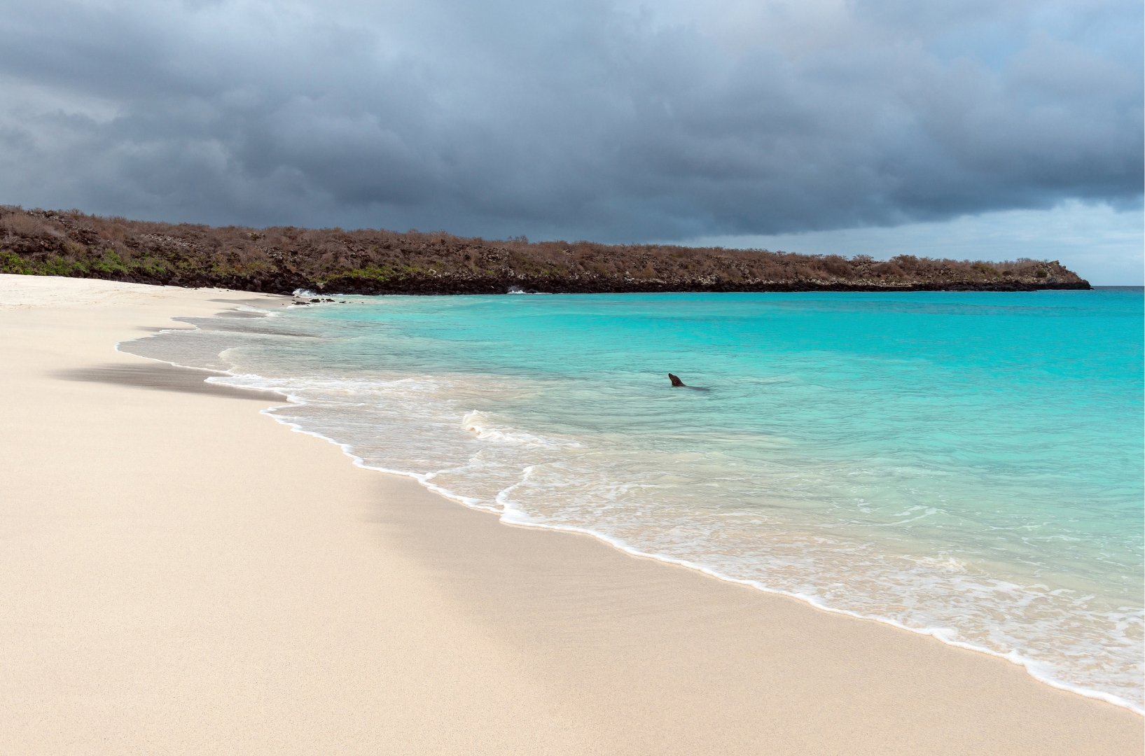 Galápagos von Insel zu Insel - null - Tagesfoto