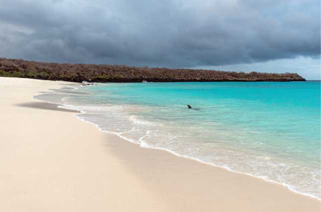 Galápagos von Insel zu Insel