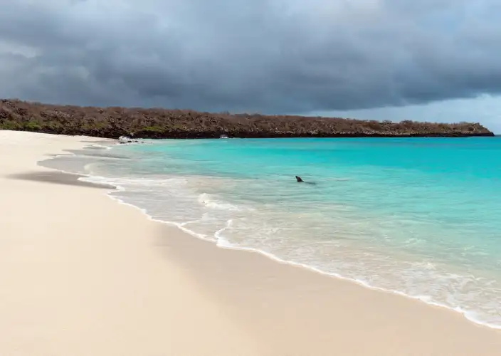 Galápagos von Insel zu Insel - null - Tagesfoto