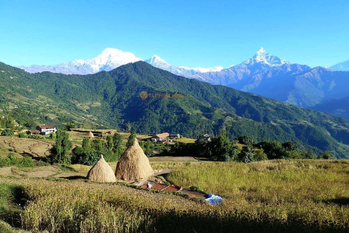 Annapurna Comfort Trek | 10 Days - Trek to the vehicle boarding point, drive to Pokhara, and fly to Kathmandu - Photo of the day