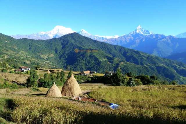Annapurna Comfort Trek | 10 Days