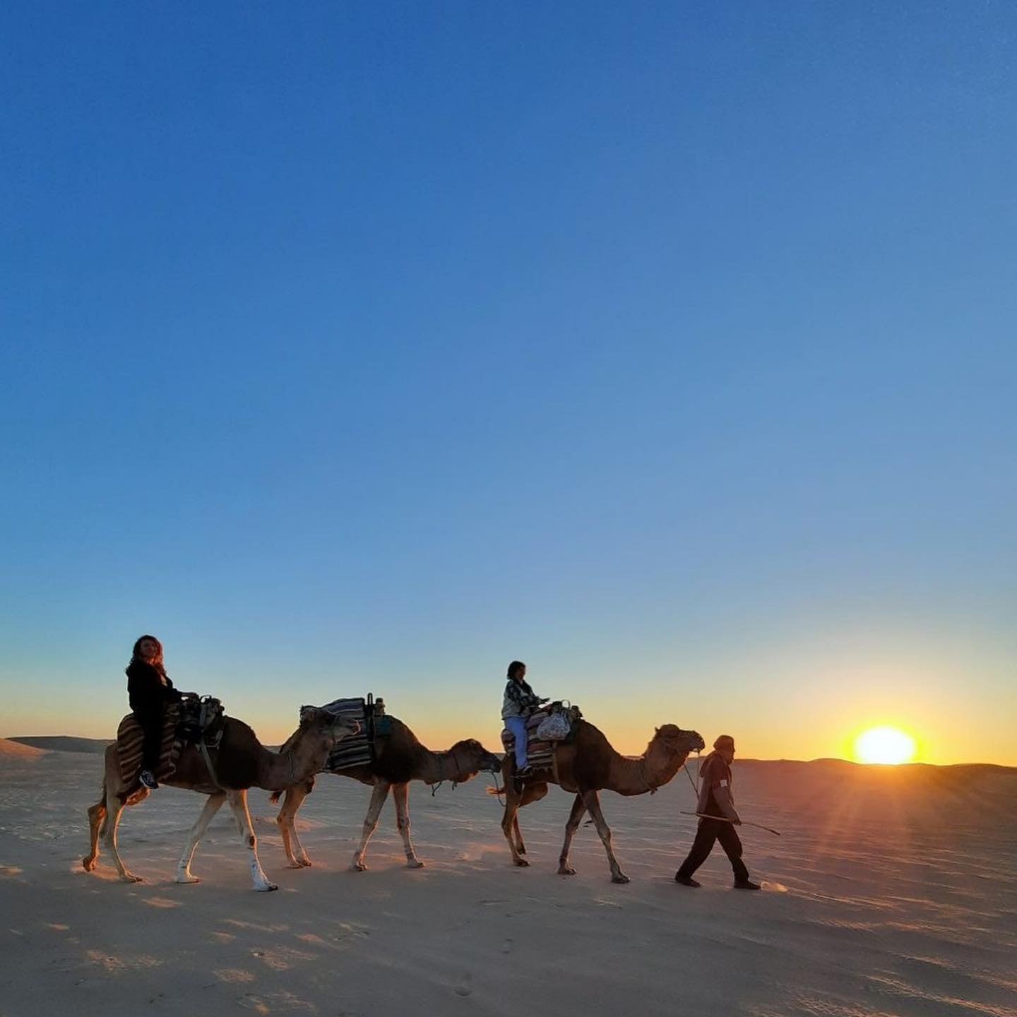 Uma noite sob as estrelas nas costas de um dromedário. - Volta para Douz - Trekking à dos de cromadaire