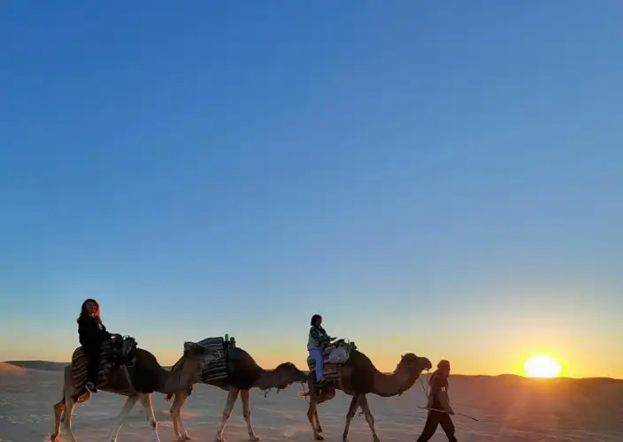 Uma noite sob as estrelas nas costas de um dromedário. - Volta para Douz - Trekking à dos de cromadaire