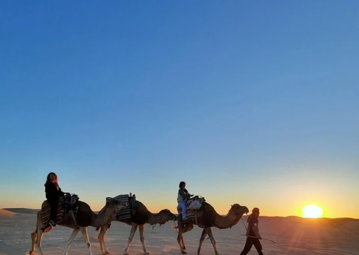 Une nuit sous les étoiles à dos de dromadaire. - Retour vers Douz - Trekking à dos de cromadaire