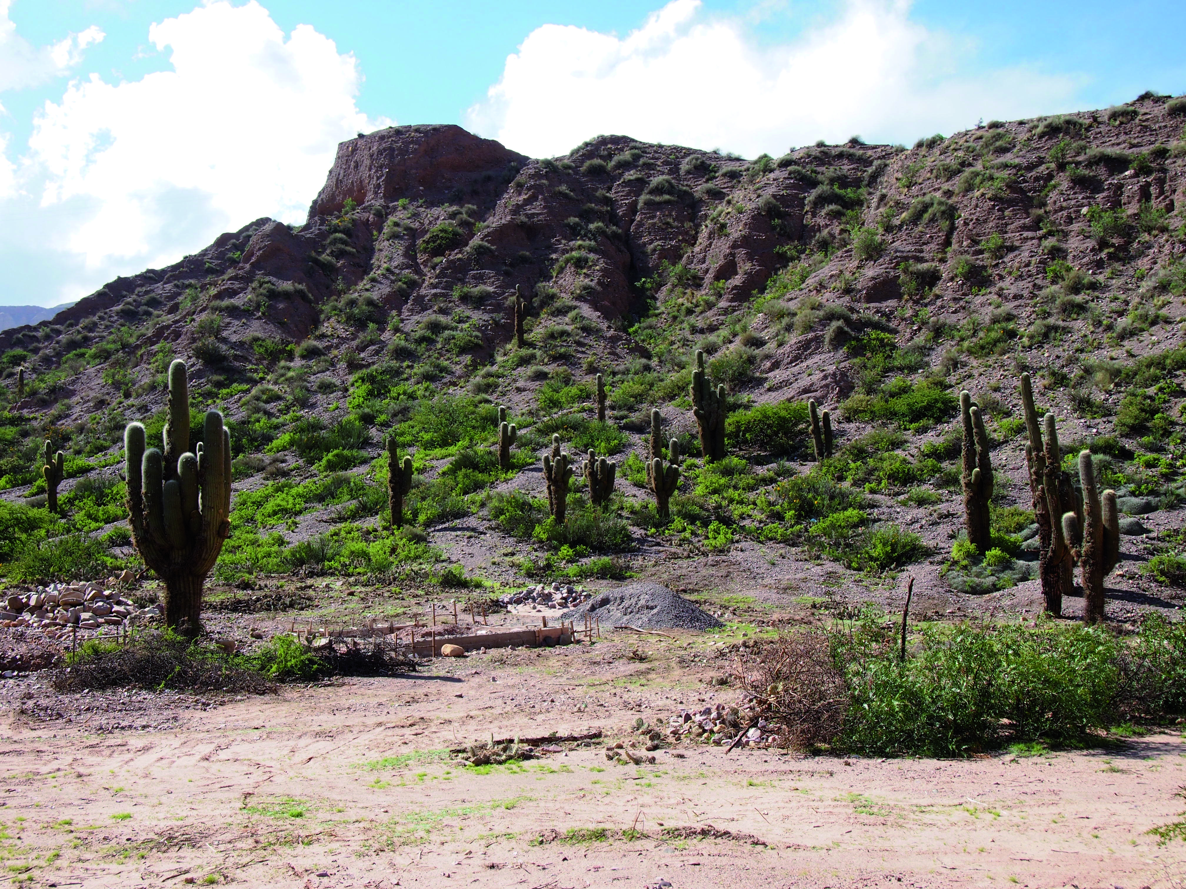 Argentinië - De niet te missen plekken - Picknick in een hooggelegen kelder - Pique-nique à une cave d'altitude