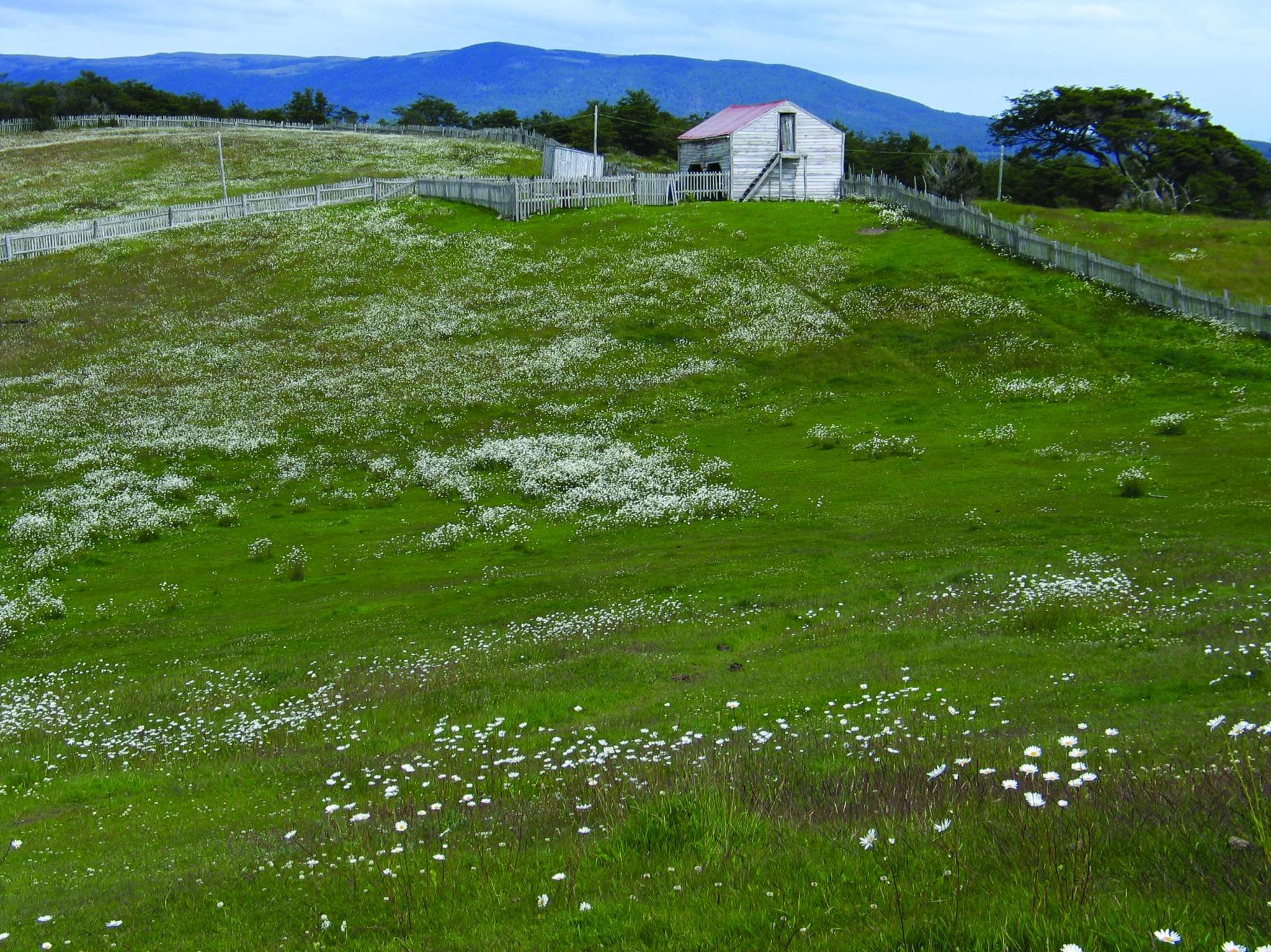 Entdecken Sie Patagonien abseits der ausgetretenen Pfade. - Domos de la Estancia - Domos de la Estancia