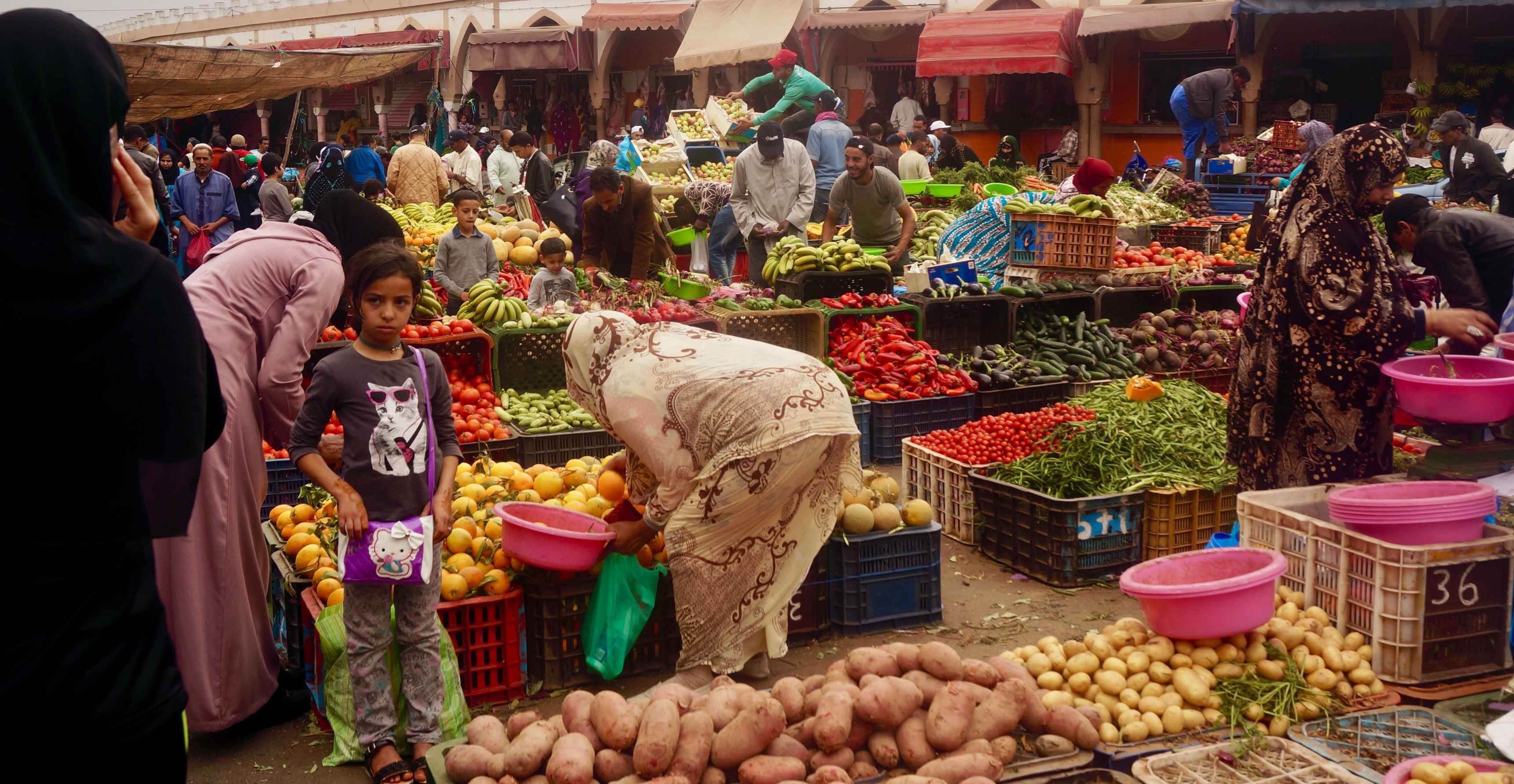 Wonders of the Anti-Atlas - Mirleft - Agadir - Mirleft - Agadir