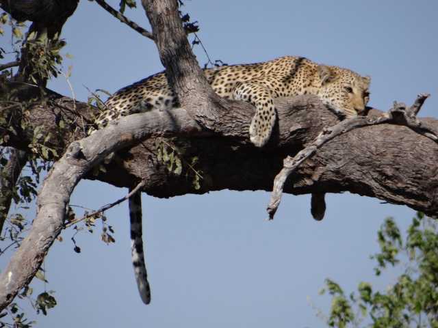 Le Botswana vu du ciel